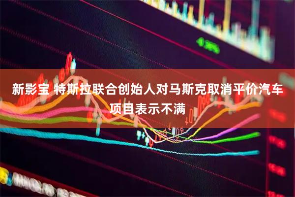 新影宝 特斯拉联合创始人对马斯克取消平价汽车项目表示不满